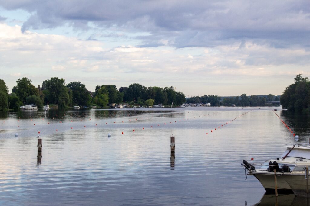 whatsapp bild 2025 07 31 um 20.55.59 94948818 small