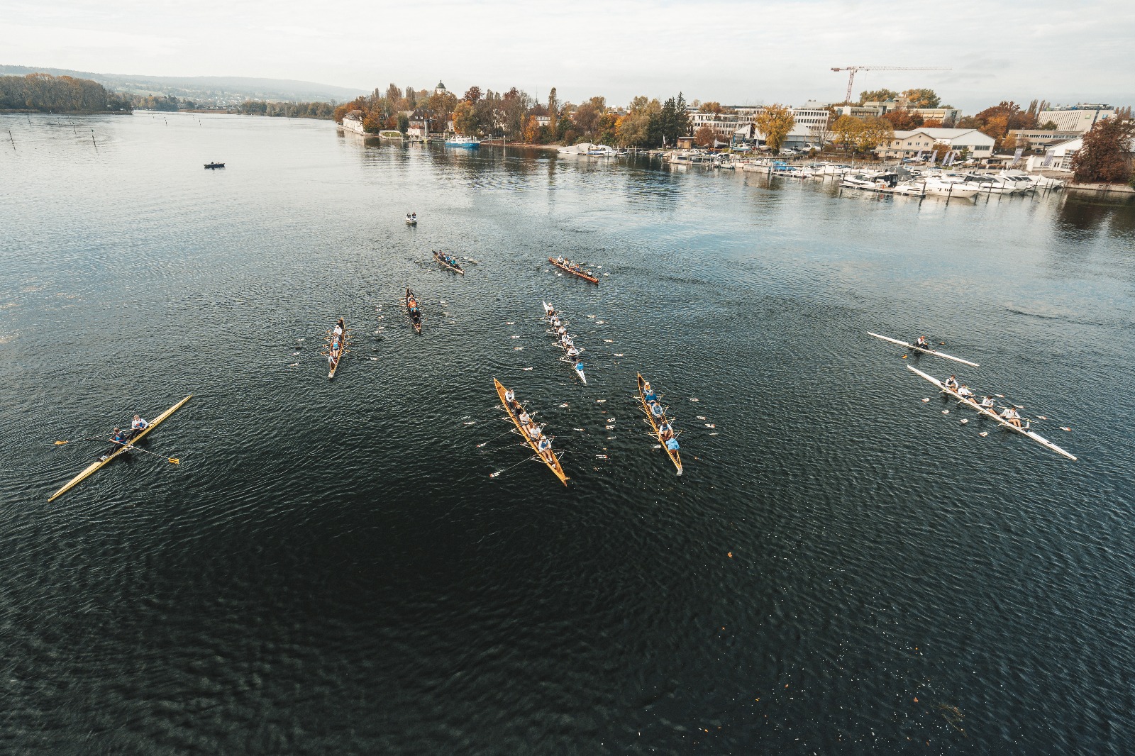 whatsapp bild 2025 07 31 um 20.55.59 ec65b712 small